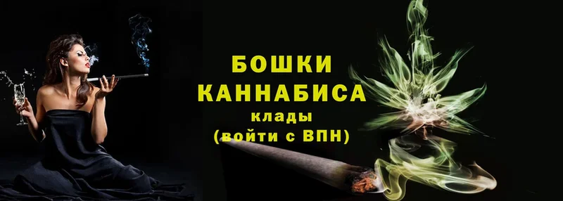 Бошки марихуана THC 21%  Кировград 